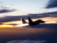 Mikoyan MiG-29 - Image 6