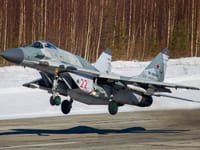 Mikoyan MiG-29 - Image 38