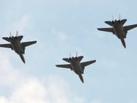 Grumman F-14 Tomcat - Image 3