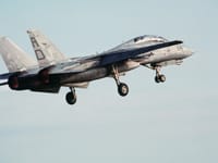 Grumman F-14 Tomcat - Image 17