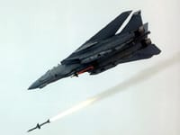 Grumman F-14 Tomcat - Image 21