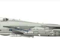 Grumman F-14 Tomcat - Image 22