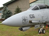 Grumman F-14 Tomcat - Image 31