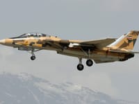 Grumman F-14 Tomcat - Image 35