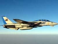 Grumman F-14 Tomcat - Image 38