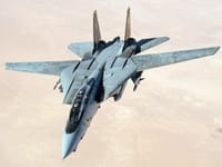 Grumman F-14 Tomcat - Image 1