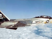 Grumman F-14 Tomcat - Image 6