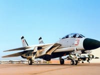 Grumman F-14 Tomcat - Image 7
