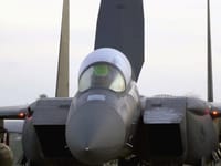 McDonnell Douglas F-15 Eagle - Image 18