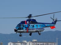 Eurocopter AS332 Super Puma - Image 10