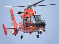 Eurocopter AS365 Dauphin - Image 7