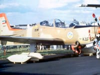 Short Tucano - Image 4