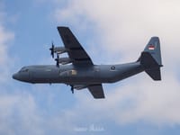 Lockheed Martin C-130J Super Hercules - Image 15