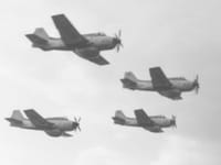 Fairey Gannet AEW.3 - Image 7