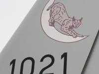 EADS Harfang - Image 3