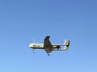 Qods Mohajer - Image 9